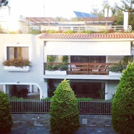 Fantastic Villa, A 5 Minute Drive From The Beach! 아테네 외부 사진