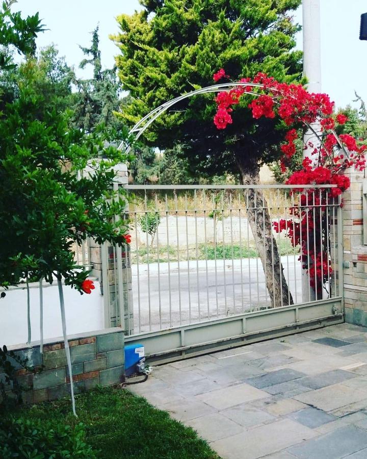Fantastic Villa, A 5 Minute Drive From The Beach! 아테네 외부 사진