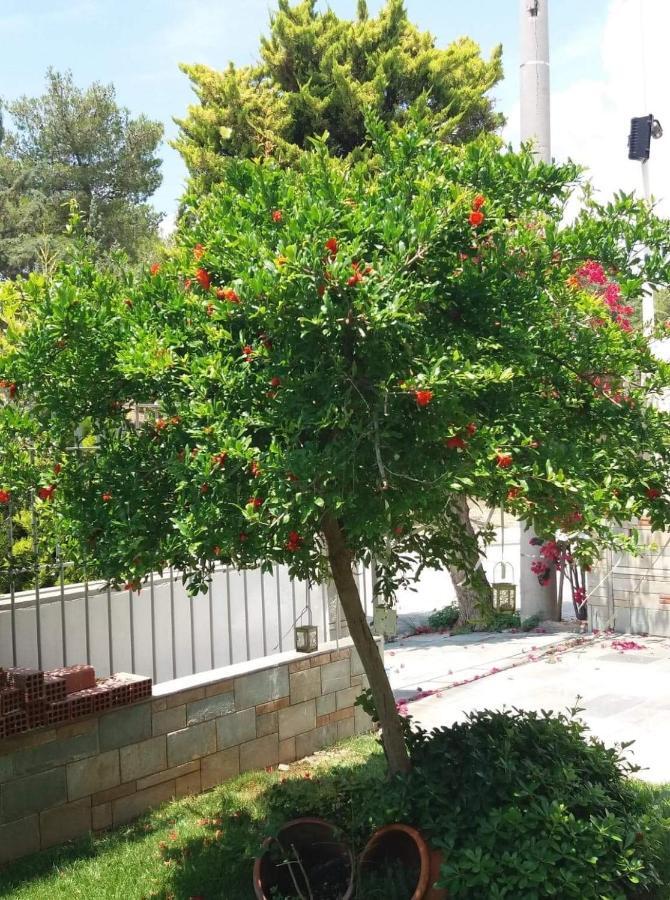 Fantastic Villa, A 5 Minute Drive From The Beach! 아테네 외부 사진
