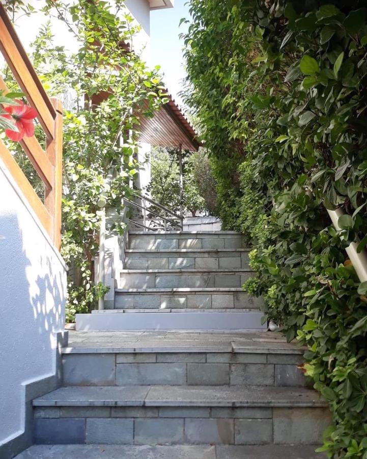 Fantastic Villa, A 5 Minute Drive From The Beach! 아테네 외부 사진