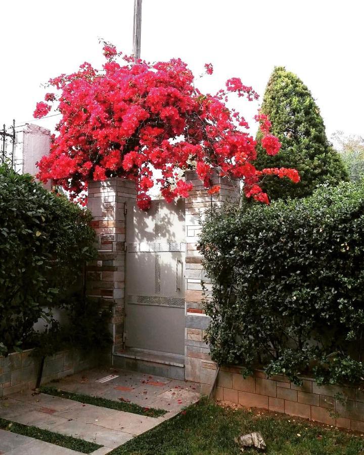 Fantastic Villa, A 5 Minute Drive From The Beach! 아테네 외부 사진